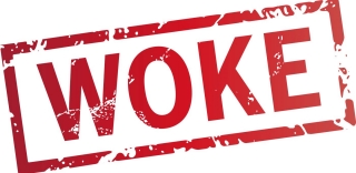 Woke-повестка : Кто и как финансирует разрушение семьи Woke-повестка : разрушение семьи